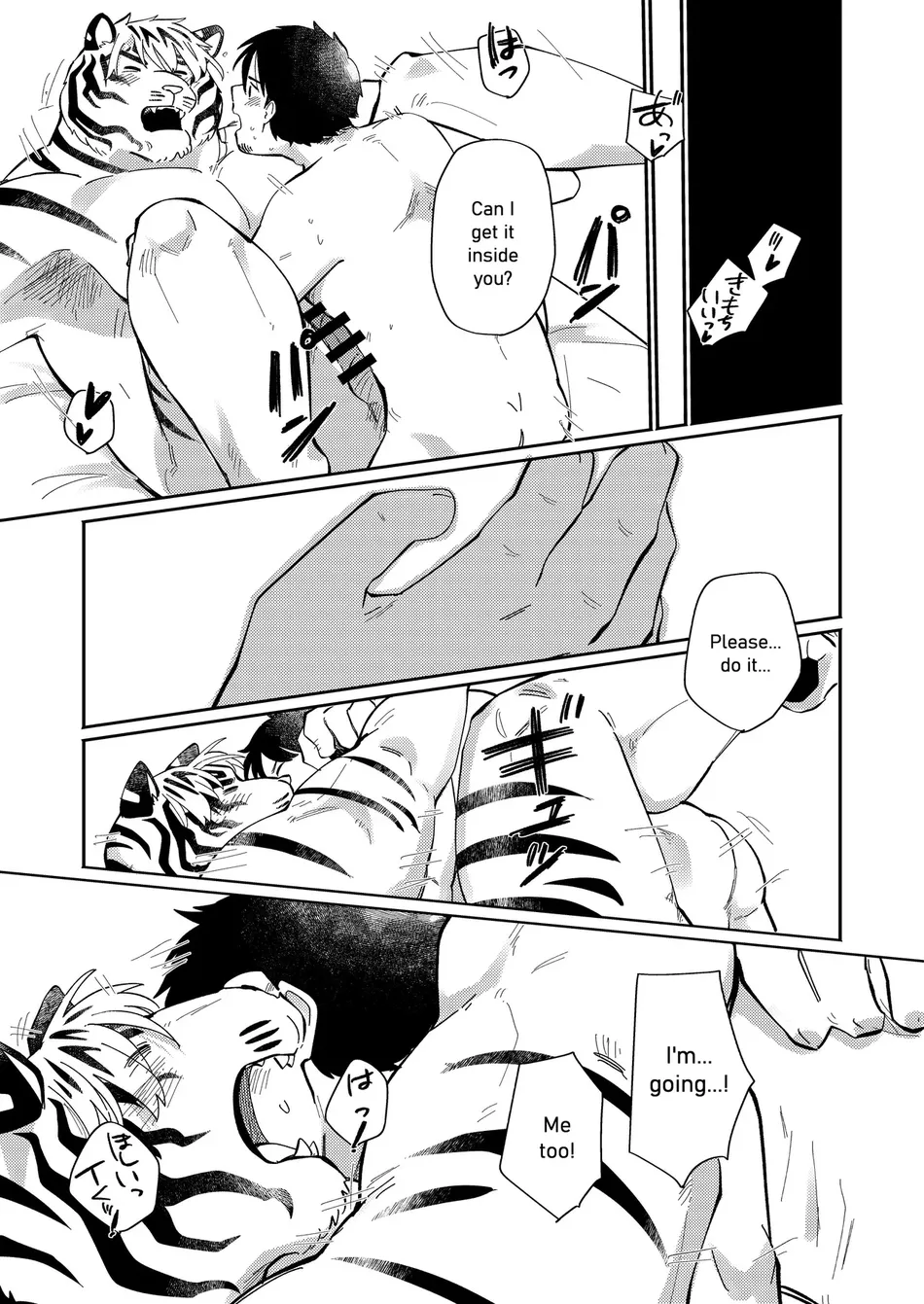 Image from CV: My Tiger Boyfriend